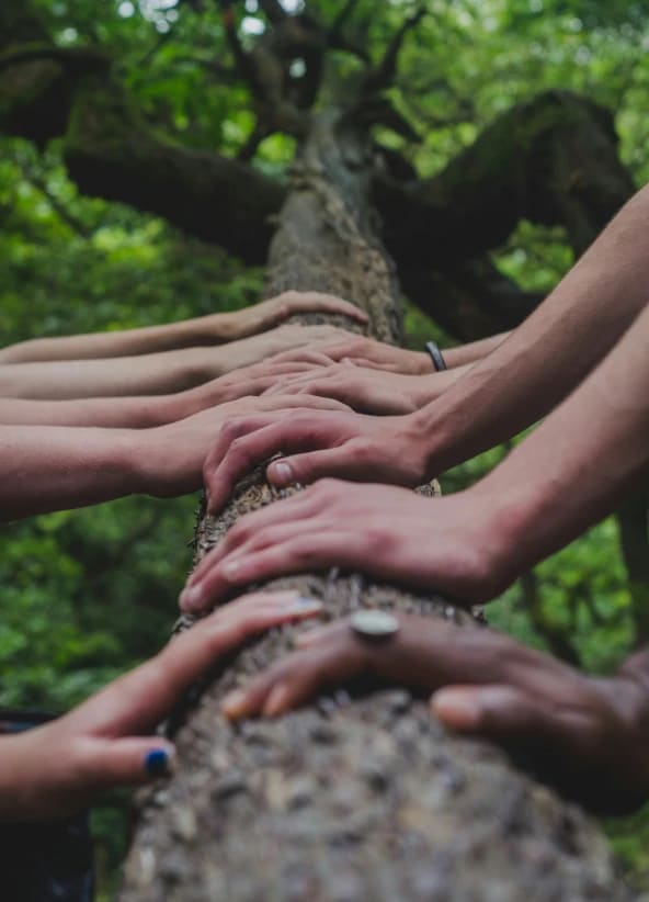 Hands holding soil