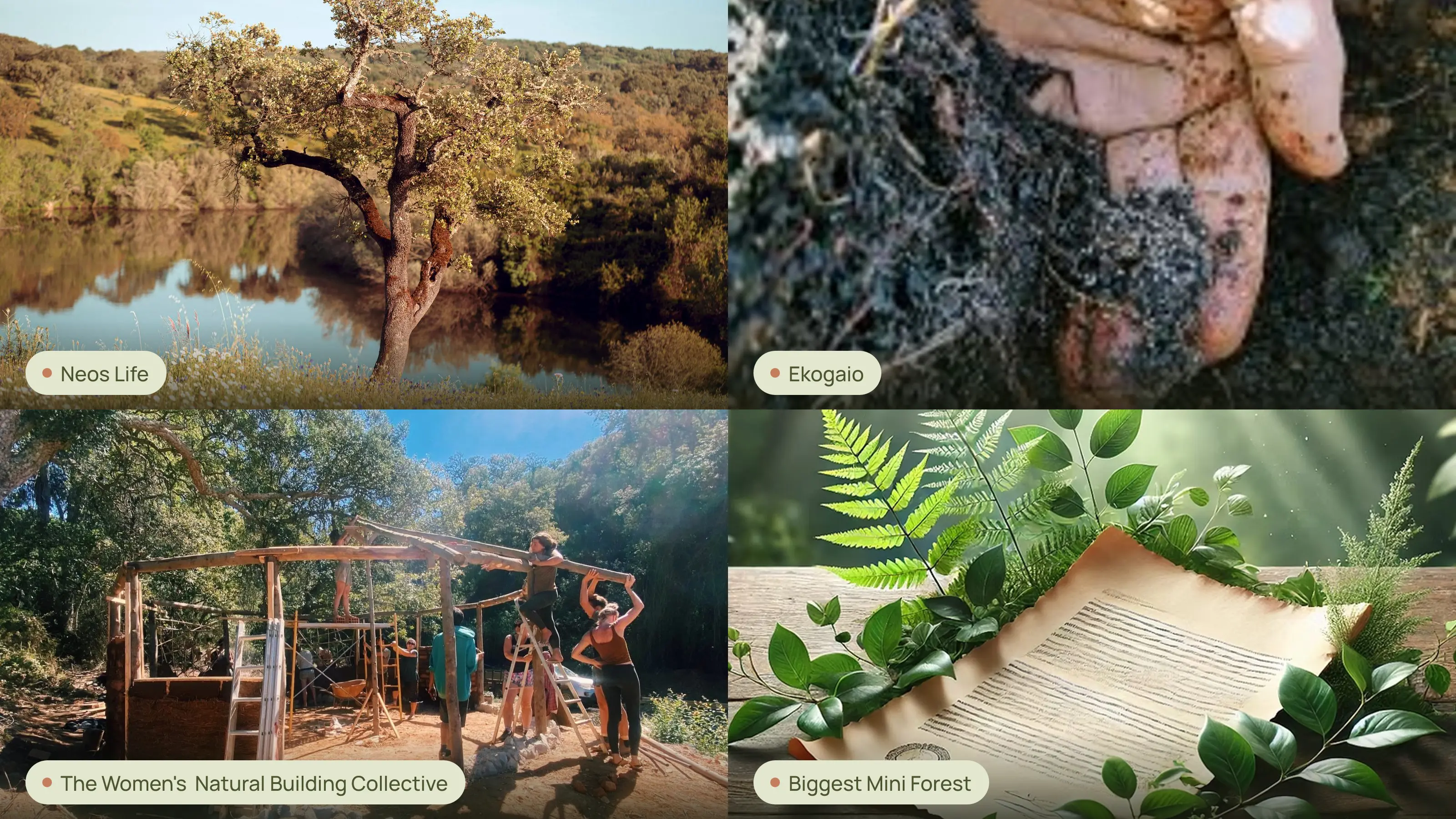 Sustainable Living in The Portugal News